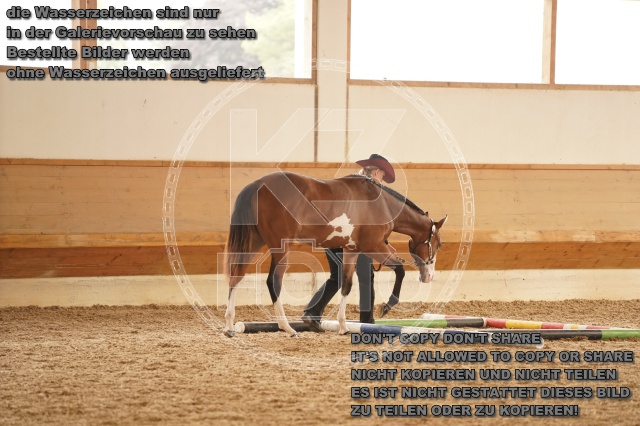 s_A_901211.JPG
